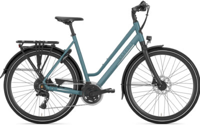 Gazelle Chamonix T20 Low-Step